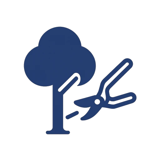 Precise pruning cut at the branch collar on a hardwood