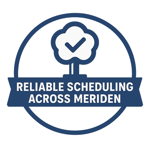 Reliable Scheduling Across Meriden